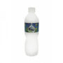 Agua natural CIEGO MONTERO 500ml